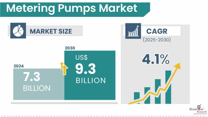 Metering-Pumps-Market-Insights